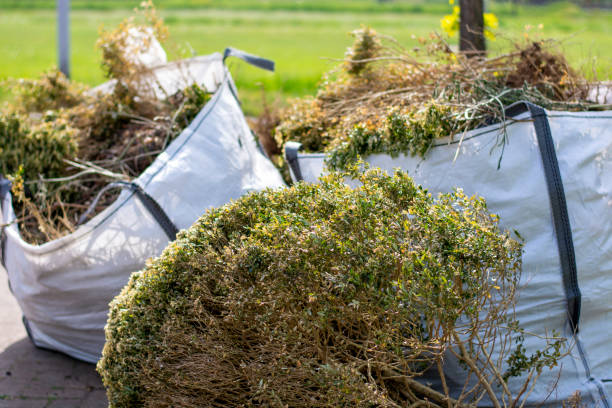 Best Household Junk Removal  in Rocky Point, NC